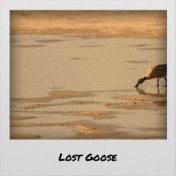 Lost Goose