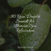 30 Rain Droplet Sounds for Ultimate Spa Relaxation