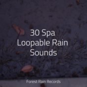 30 Spa Loopable Rain Sounds