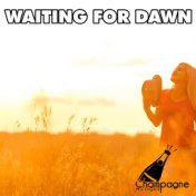 Waiting for Dawn