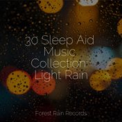 30 Sleep Aid Music Collection: Light Rain