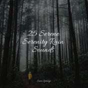 25 Serene Serenity Rain Sounds