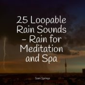 25 Loopable Rain Sounds - Rain for Meditation and Spa