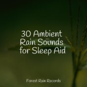 30 Ambient Rain Sounds for Sleep Aid