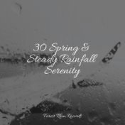 30 Spring & Steady Rainfall Serenity