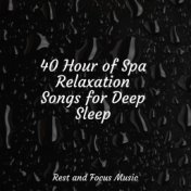 40 Hour of Spa Relaxation Songs for Deep Sleep