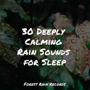 30 Deeply Calming Rain Sounds for Sleep