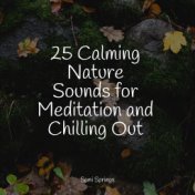 25 Calming Nature Sounds for Meditation and Chilling Out