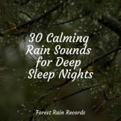 30 Calming Rain Sounds for Deep Sleep Nights