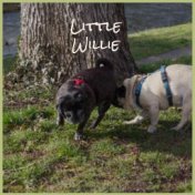 Little Willie