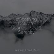 #Soothing Delicate Sounds | Spa & Serenity