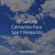 50 Sonidos Calmantes Para Spa Y Relajación