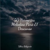 50 Hermosas Melodías Para El Descanso