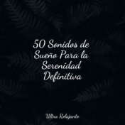 50 Sonidos de Sueño Para la Serenidad Definitiva