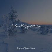 Calm Sleepy Music