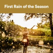 First Rain of the Season