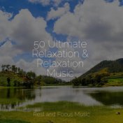 50 Ultimate Relaxation & Relaxation Music