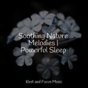 Soothing Nature Melodies | Powerful Sleep