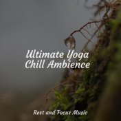 Ultimate Yoga Chill Ambience