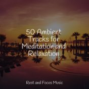 50 Ambient Tracks for Meditation and Relaxation