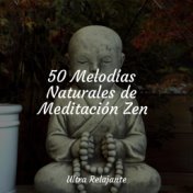 50 Melodías Naturales de Meditación Zen