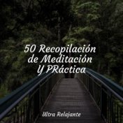 50 Recopilación de Meditación Y PRáctica