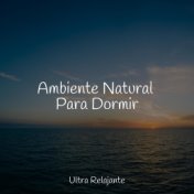 Ambiente Natural Para Dormir