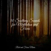 50 Soothing Sounds for Meditation and Focus