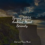 Spring 2021: Ambient Mood Serenity