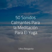 50 Sonidos Calmantes Para la Meditación Para El Yoga