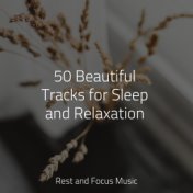 50 Beautiful Tracks for Sleep and Relaxation