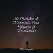 50 Melodías de Meditación Para Relajarse Y Desconectar