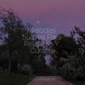 Melodías Suaves Para Relajarse Y Curarse