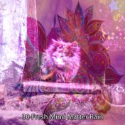 30 Fresh Mind Matter Rain