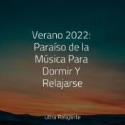 Verano 2022: Paraíso de la Música Para Dormir Y Relajarse