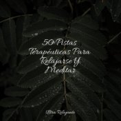 50 Pistas Terapéuticas Para Relajarse Y Meditar