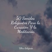 50 Sonidos Relajantes Para la Curación Y la Meditación