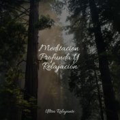 Meditación Profunda Y Relajación