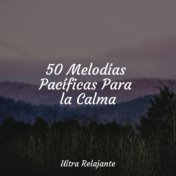50 Melodías Pacíficas Para la Calma