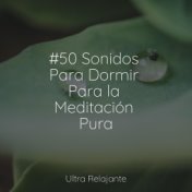 #50 Sonidos Para Dormir Para la Meditación Pura