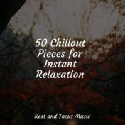 50 Chillout Pieces for Instant Relaxation