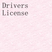 Drivers License