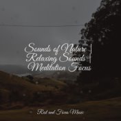 Sounds of Nature | Relaxing Sounds | Meditation Focus