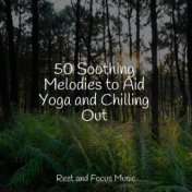 50 Soothing Melodies to Aid Yoga and Chilling Out