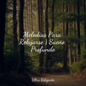 Melodías Para Relajarse | Sueño Profundo