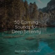 50 Calming Sounds for Deep Serenity