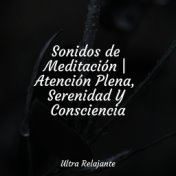 Sonidos de Meditación | Atención Plena, Serenidad Y Consciencia