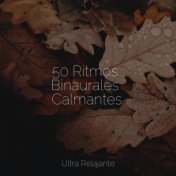 50 Ritmos Binaurales Calmantes