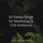 50 Sleepy Songs for Meditation & Chill Ambience