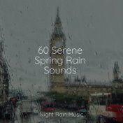 60 Serene Spring Rain Sounds